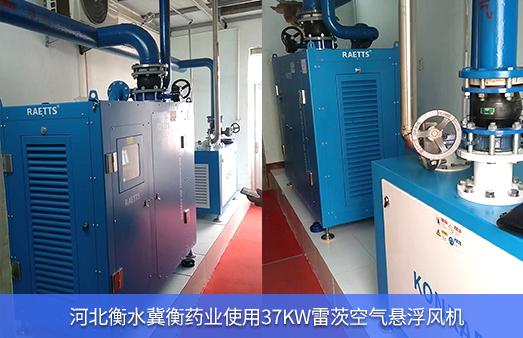 河北衡水冀衡藥業(yè)使用37KW雷茨空氣懸浮風機